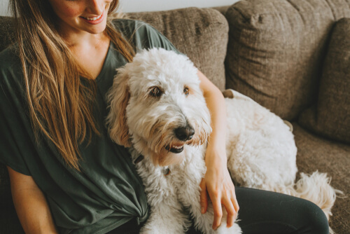 Pet Sitter: Best Jobs For 14-Year-Olds