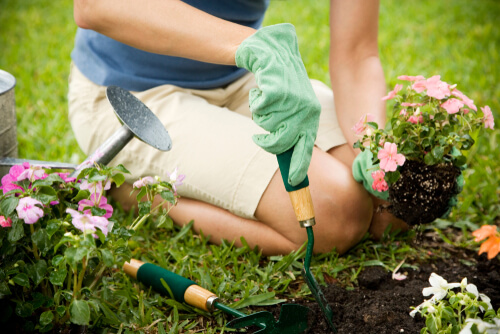Gardener: Top Horticulture Jobs