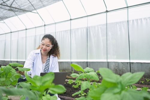 Plant Pathologist: Top Horticulture Jobs