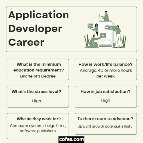 Application Developer Career