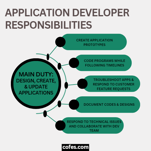 Application Developer Responsibilities