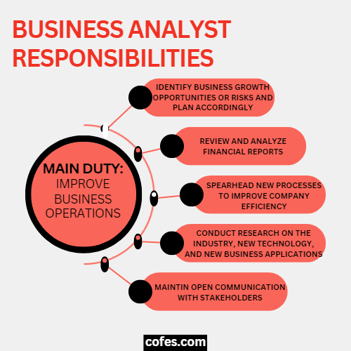 Business Analyst Responsibilities