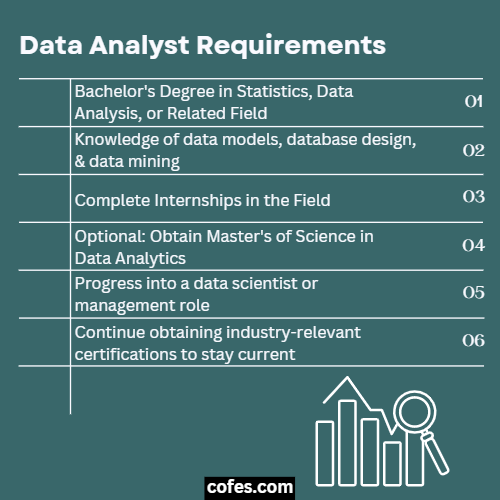 Data Analyst Requirements