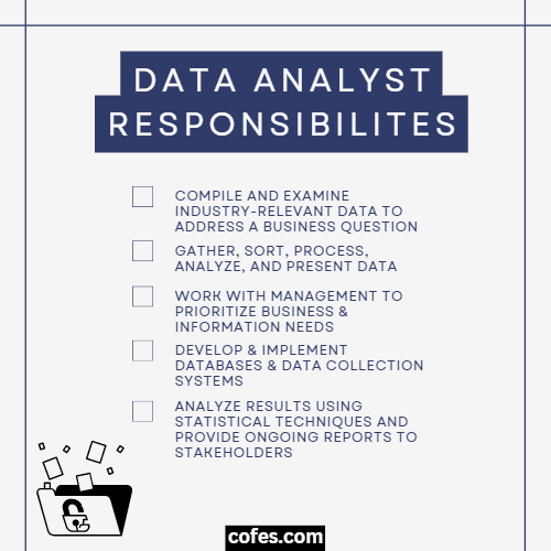Data Analyst Responsibilities