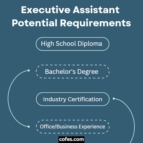 Executive Assistant Requirements