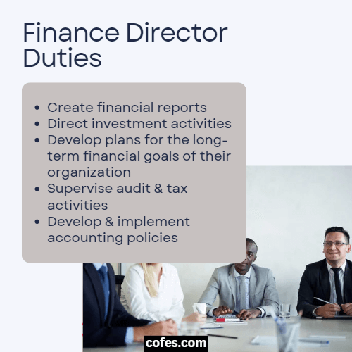 Finance Director Duties