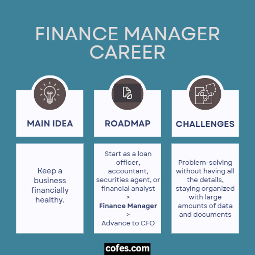 Finance Manager Career