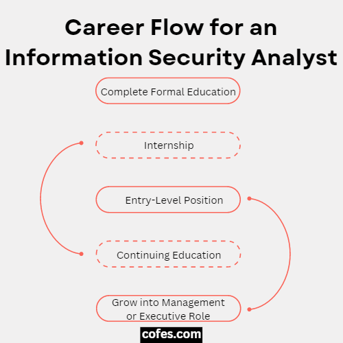 Information Security Analyst Career Flow