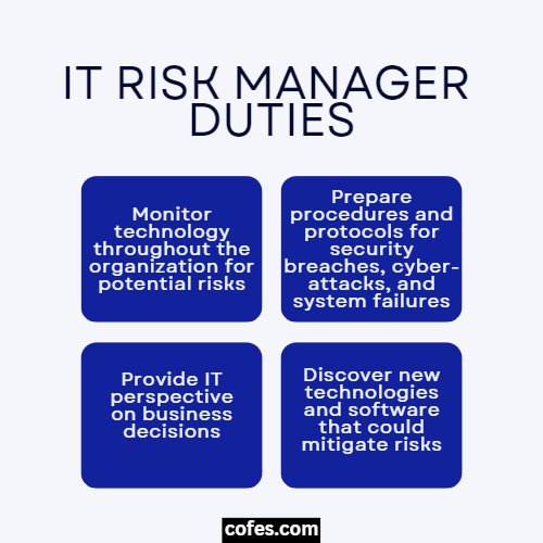 IT Risk Manager Duties