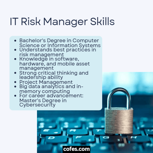 IT Risk Manager Skills and Requirements