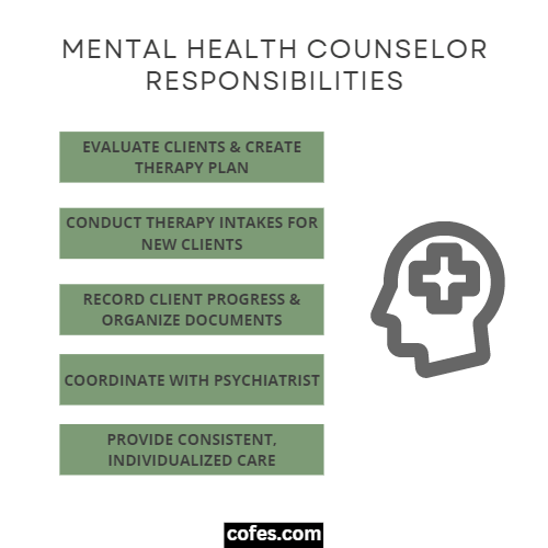 Mental Health Counselor Responsibilities