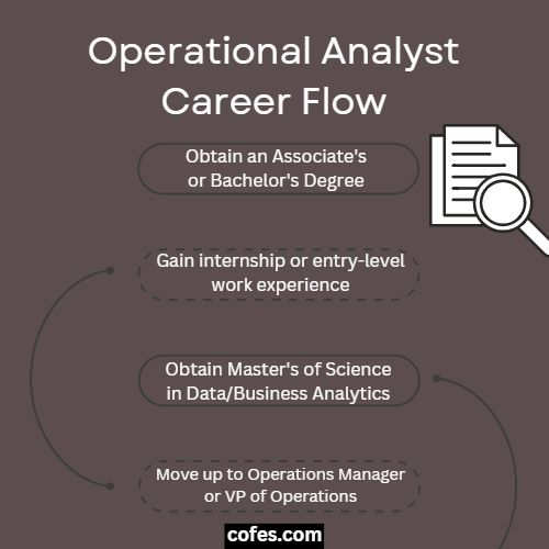 Operations Analyst Career Flow