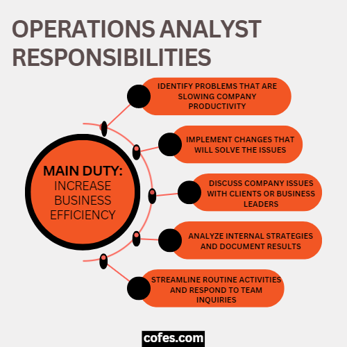 Operations Analyst Responsibilities