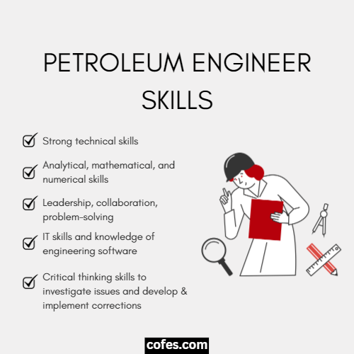 Petroleum Engineer Skills