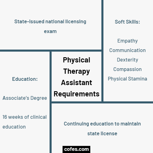 Physical Therapy Assistant Requirements