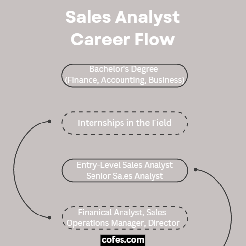 Sales Analyst Career Flow