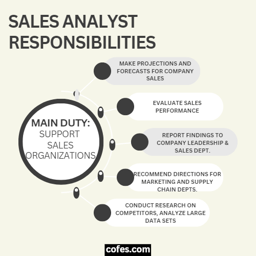 Sales Analyst Responsibilities