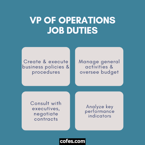VP of Operations Duties