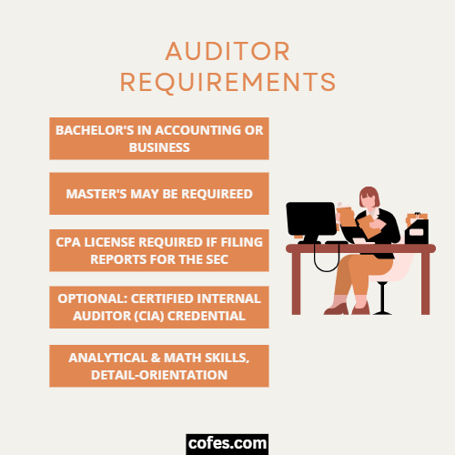 Auditor Requirements