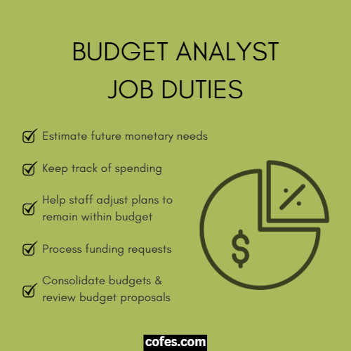 Budget Analyst Job Duties