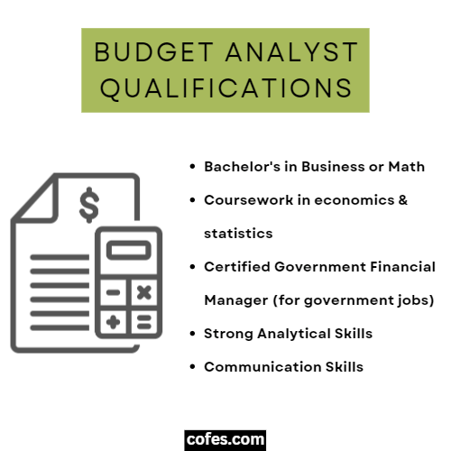 Budget Analyst Qualifications