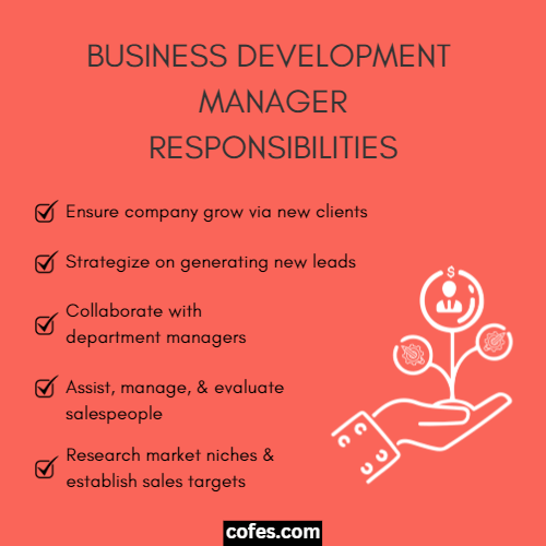 Business Development Manager Responsibilities