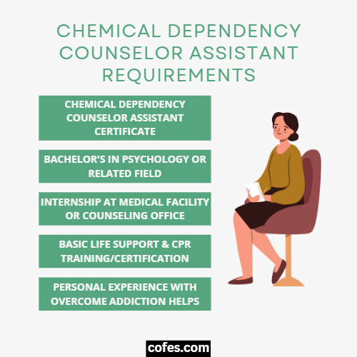 Chemical Dependency Counselor Assistant Requirements