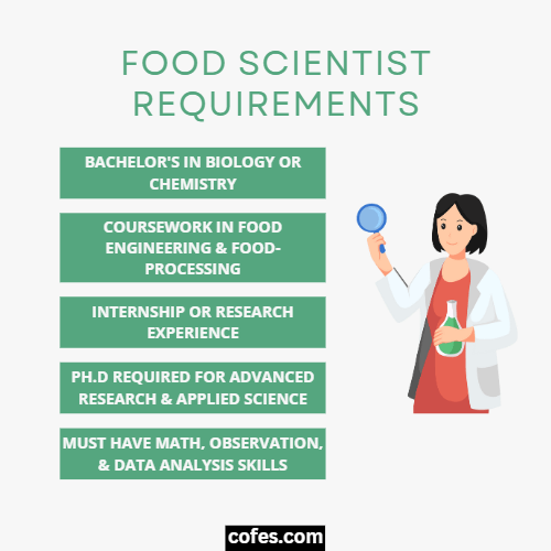 Food Scientist Requirements