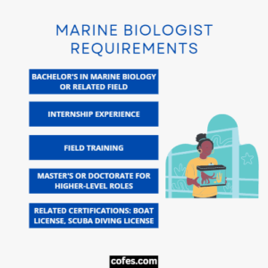 Marine Biologist Job Description Salary Duties More 2023   Marine Biologist Requirements 300x300 