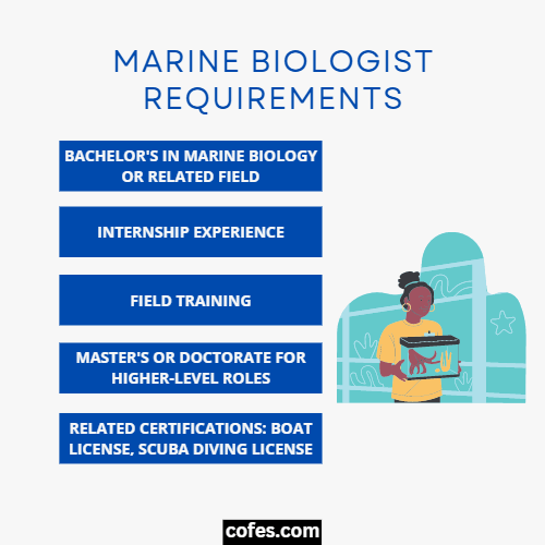 Marine Biologist Requirements