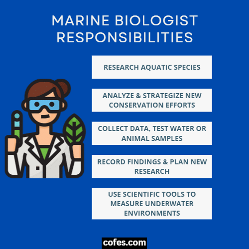 Marine Biologist Responsibilities