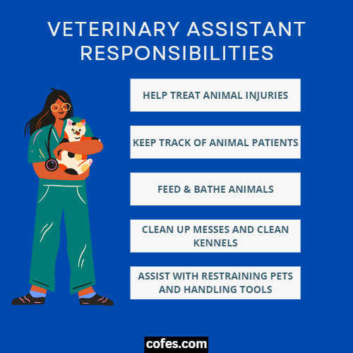 Veterinary Assistant Responsibilities