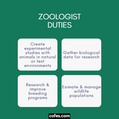 Zoologist Duties